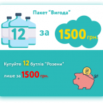 Пакет "Вигода" 12 пляшок "Розена"