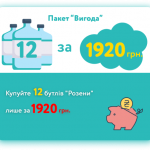 Пакет "Удобство" 12 бутылей "Розена"