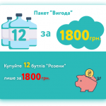 Пакет "Вигода" 12 пляшок "Розена"